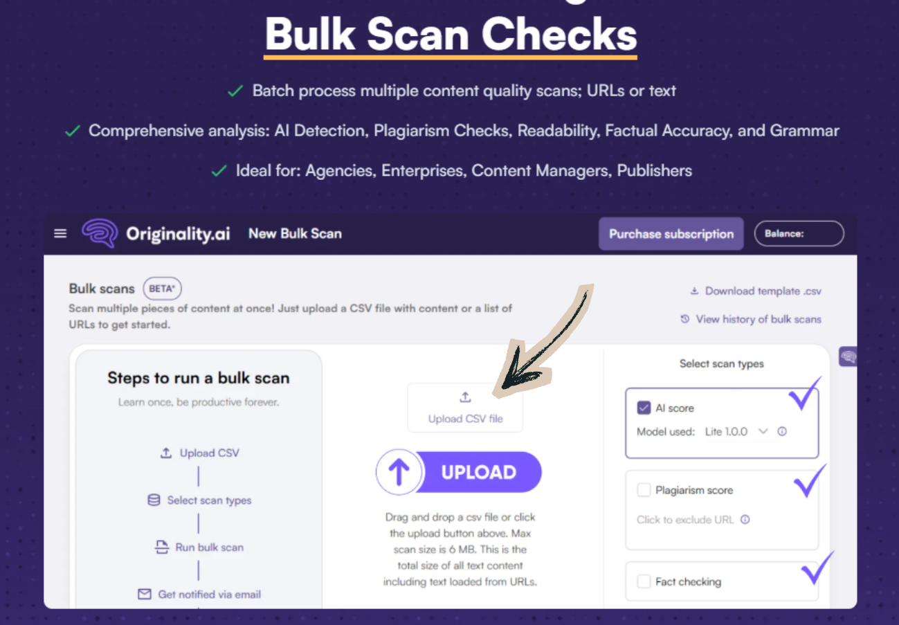 Originality AI Bulk Scan Checks