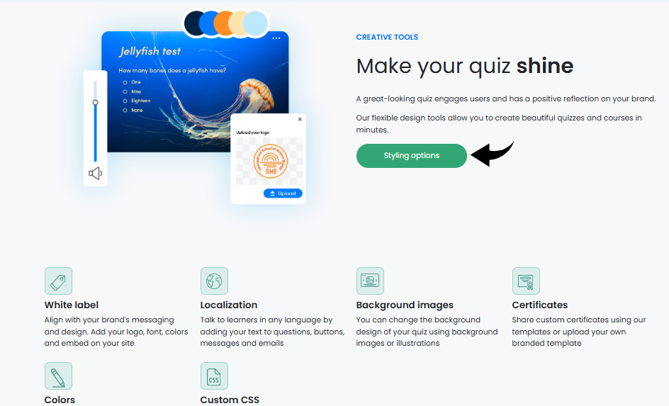 Flexiquiz Creative tools Image