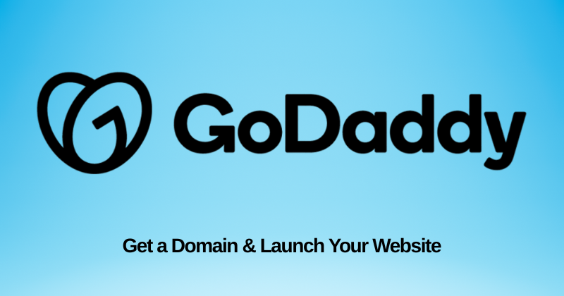 GoDaddy dashboard screenshot