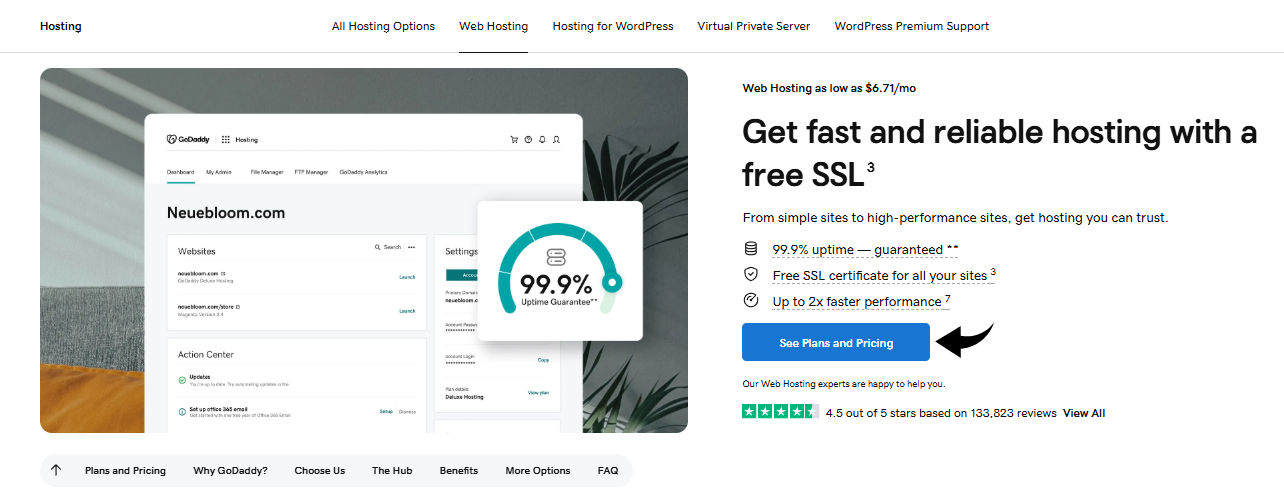 GoDaddy Web Hosting Image