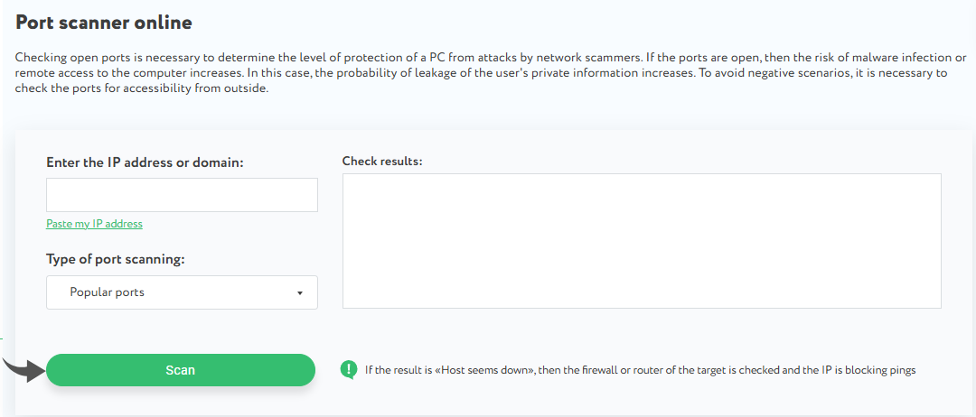 Proxy-Seller Online Port scanner Image