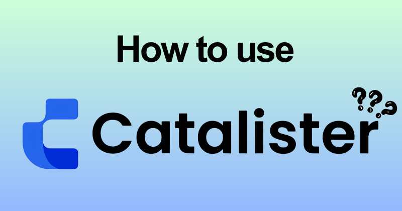 How to Use Catalister (2026): AI Dropshipping Tool for Beginners 17 How to use Catalister