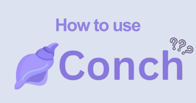 How to Use Conch AI : Tutorial For Every Feature (2026) 22 How to use Conch AI