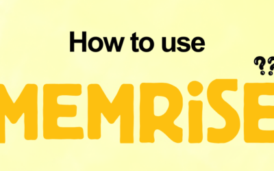 How to Use Memrise in 2026: Every Feature Explained