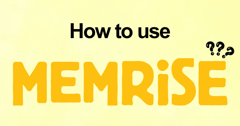 How to use Memrise