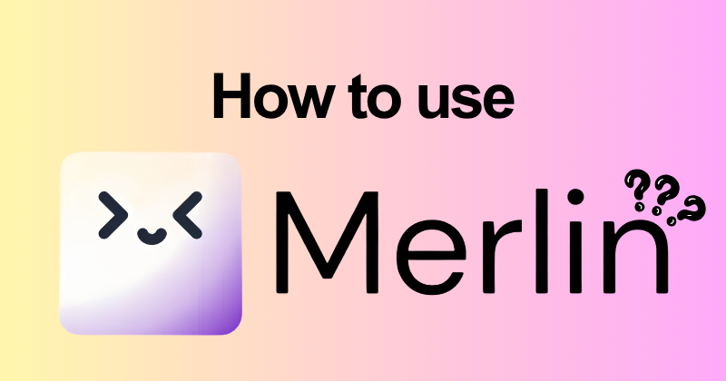 How to Use Merlin AI: 20+ Models in One App (2026) 20 How to use Merlin AI