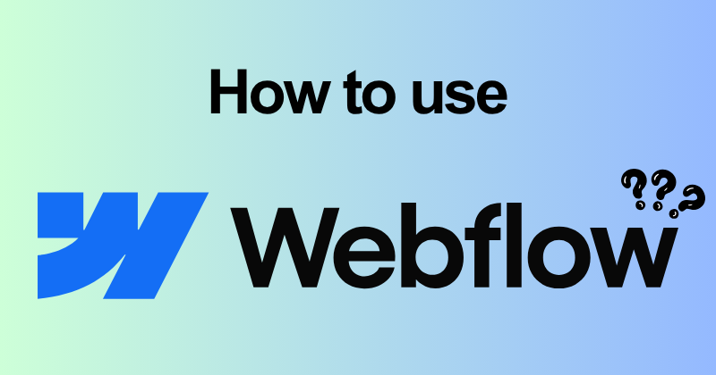 How to use Webflow