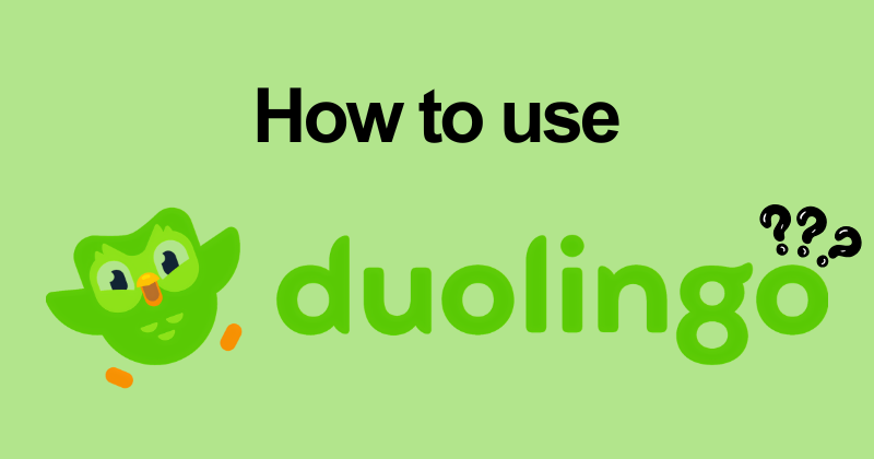 How to use Duolingo