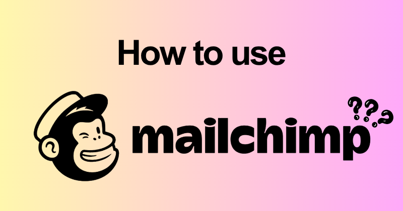 How to Use Mailchimp 2026 — Send First Campaign in 20 Minutes 2 How to use Mailchimp