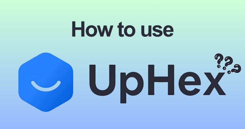How to Use UpHex Like a Pro (2026 Guide) 2 How to use uphex