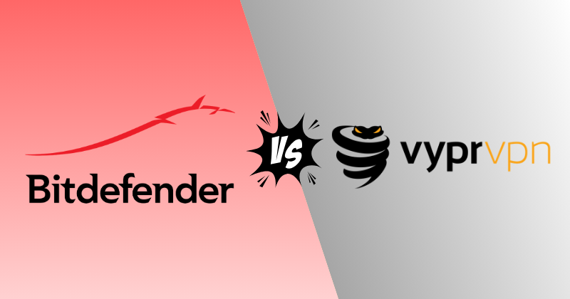bitdefender vpn vs vyprvpn