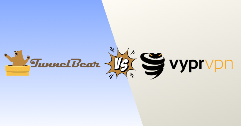 TunnelBear vs VyprVPN 2026: I Tested Both — Here's the Truth 3 tunnelbear vs vyprvpn