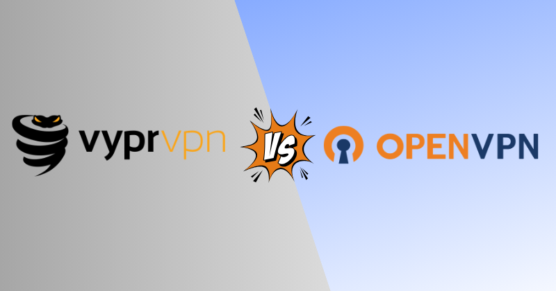 VyprVPN vs OpenVPN 2026: Which Beats VPN Blocks? 3 vyprvpn vs openvpn