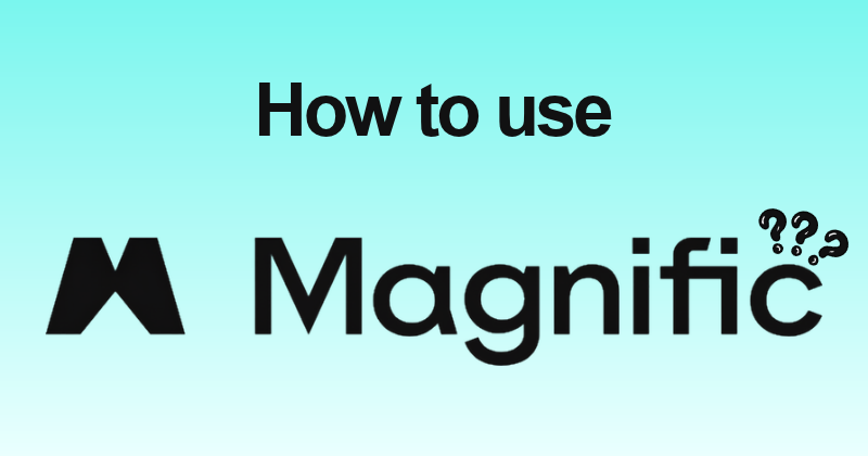 How to use Magnific